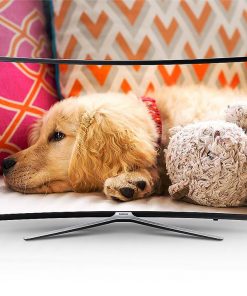 Smart Tivi cong Full HD Samsung 49M6303 49 inch, tizen OS