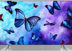 Smart Tivi QLED Samsung 4K 49 inch QA49Q6FN