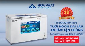 Mua tủ đông loại nào tốt nhất và tiết kiệm điện