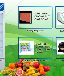 Tủ mát Alaska 500 lít LC-425C 1 cửa mở