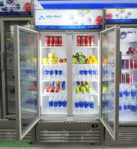 Tủ mát Hòa Phát 2 cánh có những mẫu nào, có nên mua không?